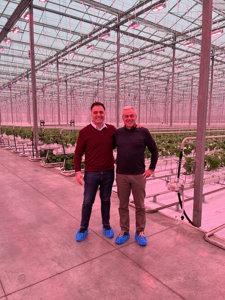Two men standing in a greenhouse lit by LED grow lights