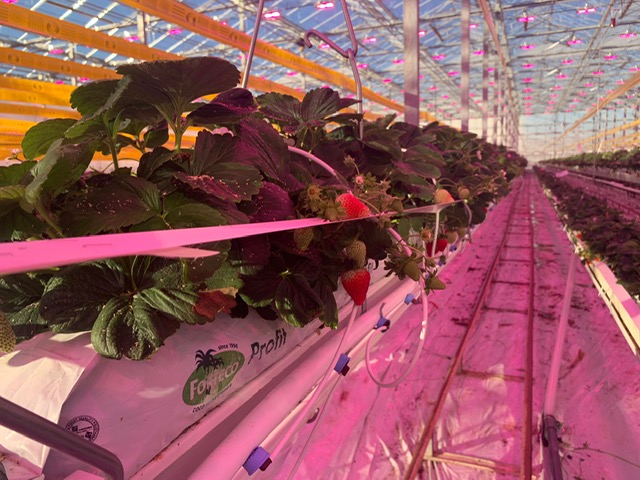 Nature Fresh agreement ensures bright future