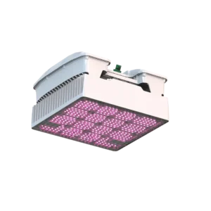 WEGA Eco LED Grow Light 540 W