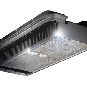WEGA Plus