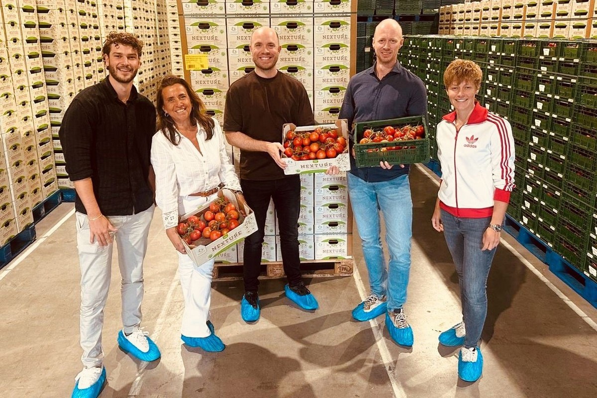 Duijvestijn successfully harvests tomatoes with WEGA Plus