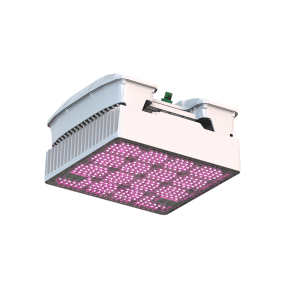 WEGA Eco LED Grow Light 540 W