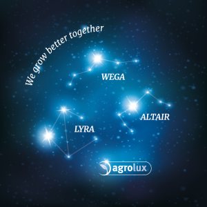 Our stars WEGA ALTAIR LYRA