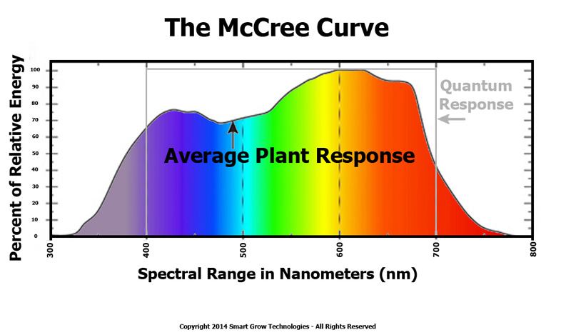McCree curve
