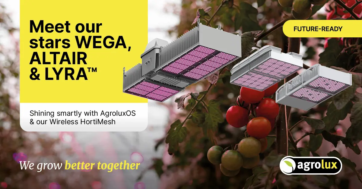 Agrolux Stars