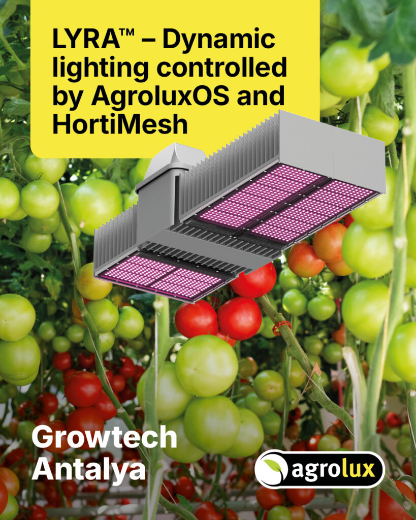 LYRA Dynamic Lighting Tomatoes