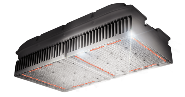 WEGA Dual Channel Max