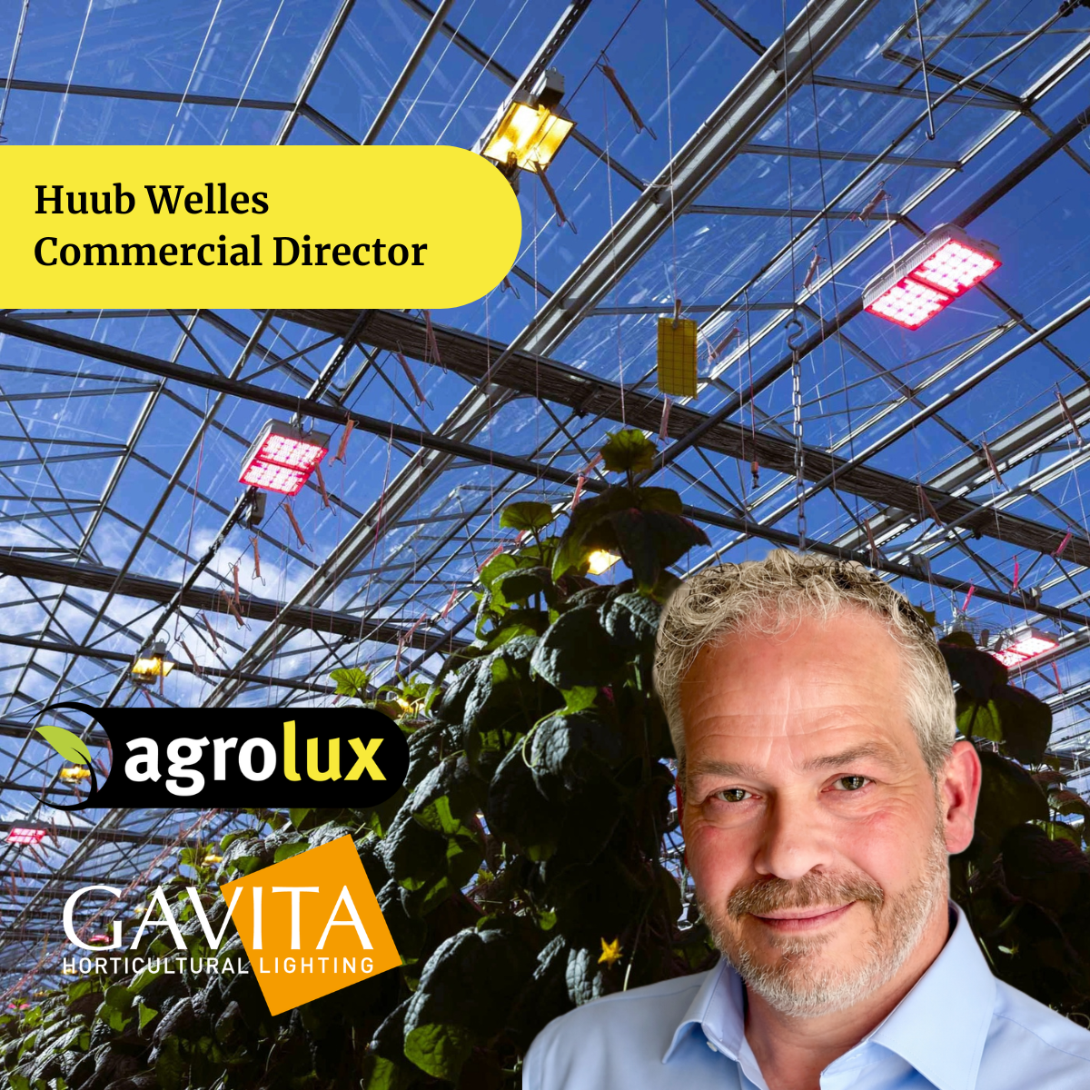Huub Welles Commercial Director