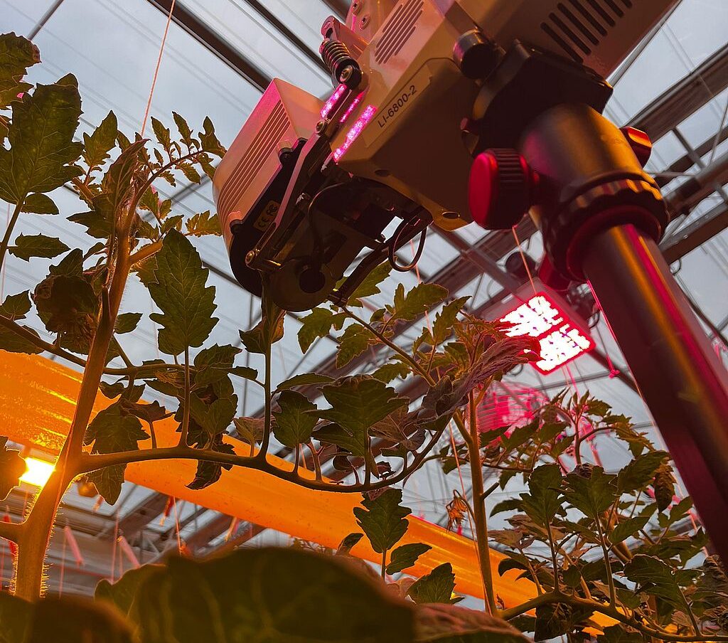 Plant_Lighting_LBE_LED_hybride