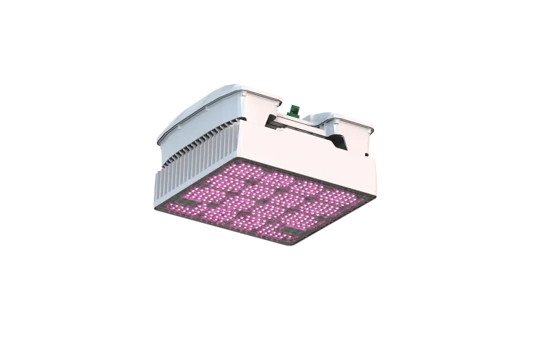 WEGA Eco LED Grow Light 540 W