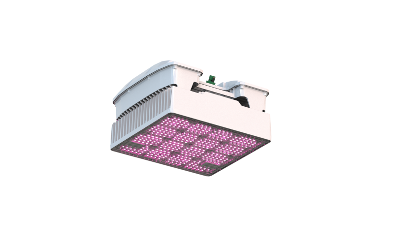 WEGA Eco LED Grow Light 540 W