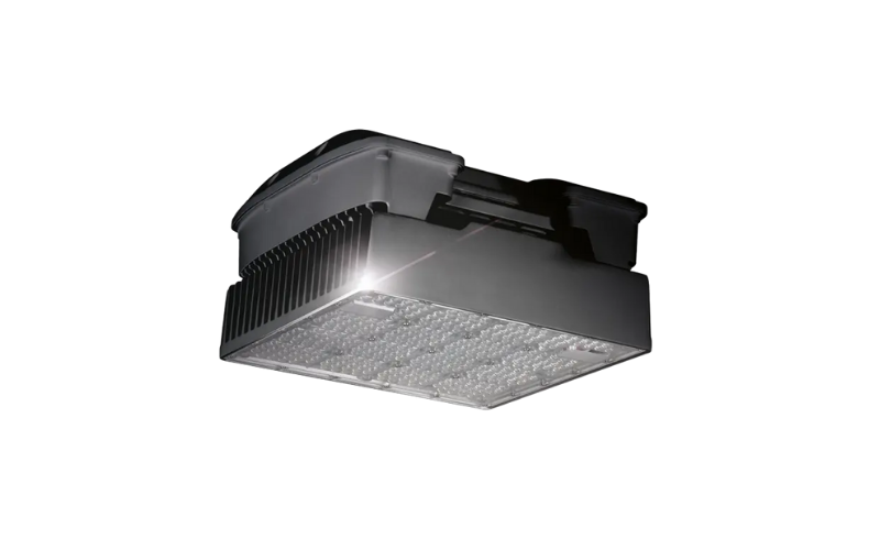 WEGA-Eco-resized