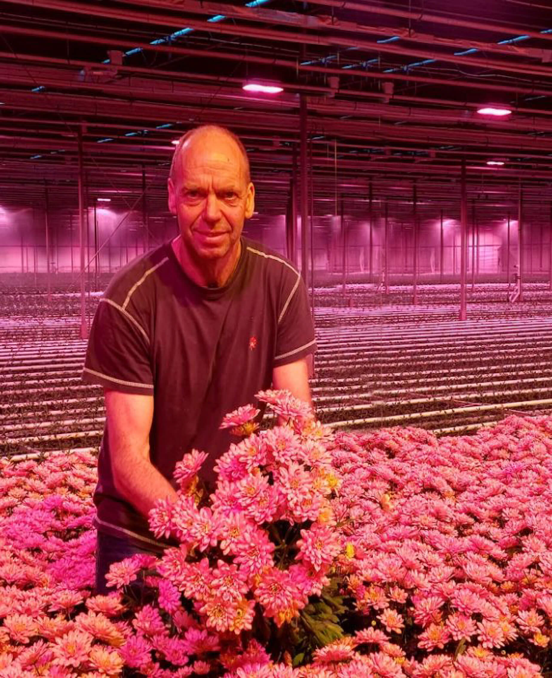 Bloemkwekerij Lex van Santen